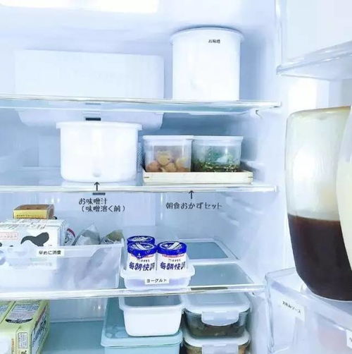 日本主婦超強整理能力 五金件收納的藝術